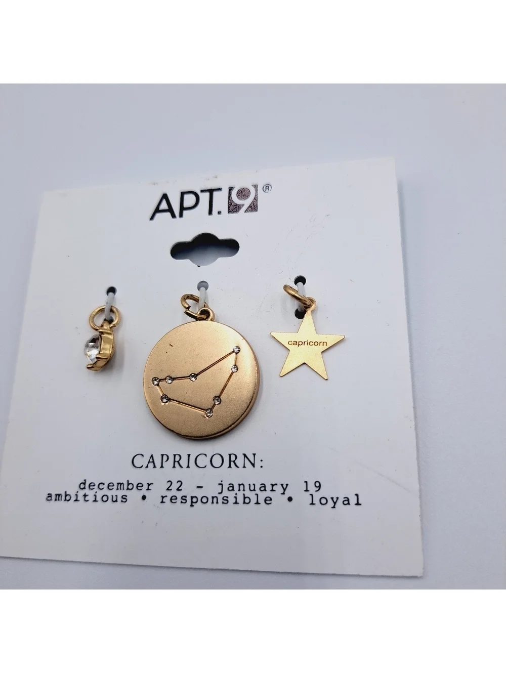 Capricorn Zodiac Pendant Charm Set